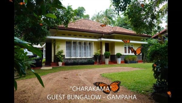 CHARAKAMA Guest Bungalow - GAMPAHA, Foglalás Panzió Minuwangoda Gampaha