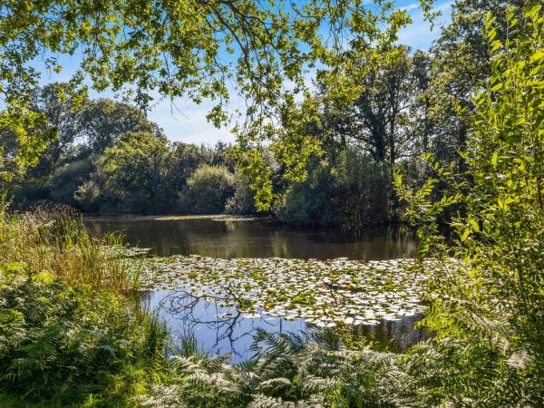 The Lodge At The Lake House, Foglalás Nyaraló Ifold West Sussex