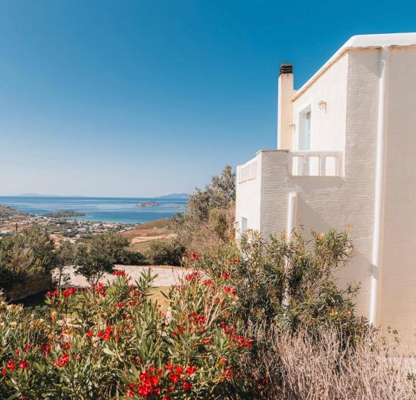 Villa Il Paradiso Andros, Foglalás  Gavrio Ándrosz