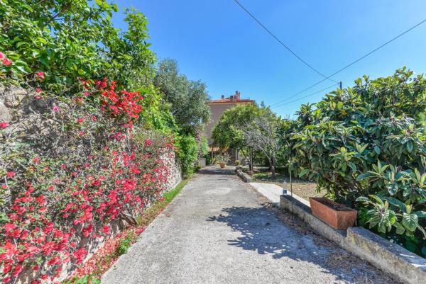 Giardino di Via del Ruotone, Foglalás  Marciana Marina Elba
