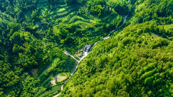 Your Quiet Place, Foglalás  Hszinglung Hunan