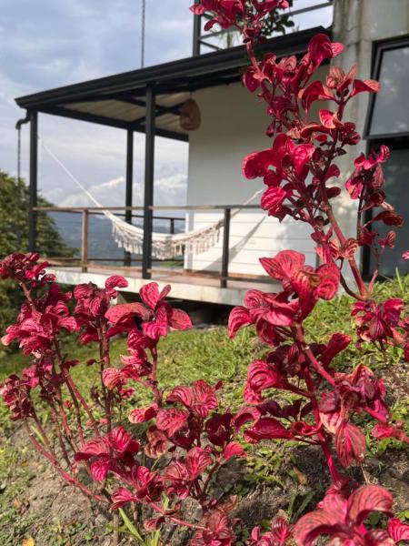 Cabañas Alondra - Hotel Boutique, Foglalás  Vergara Cundinamarca