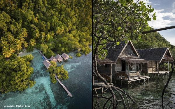 Nyandesner, Foglalás  Pulau Mansuar 