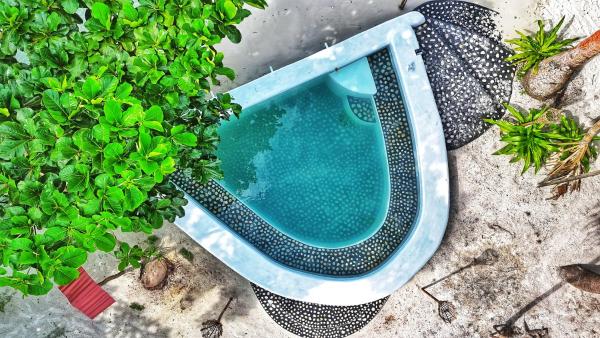 Villa M, Foglalás  Letman Maluku