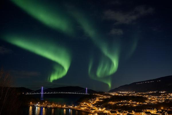 Ankenes Romutleie AS, Foglalás  Narvik Nordland megye